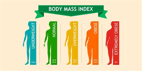 Body Mass Index What Is BMI How To Calculate It Fitterfly