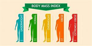 Body Mass Index What Is Bmi How To Calculate It Fitterfly