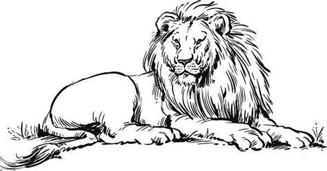 Black And White Lion Illustrations Royalty Free Vector Graphics And Clip