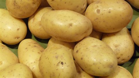 Pommes de terre françaises les variétés