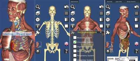 Best Human Anatomy Apps To Learn Human Anatomy