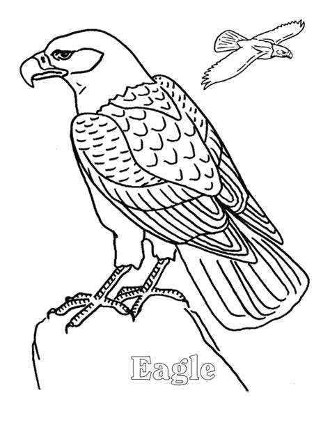 Eagle coloring page - Animals Town - animals color sheet - Eagle free