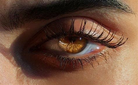 amber eyes color eye color brown eyes aesthetic aesthetic girl beige aesthetic model tips