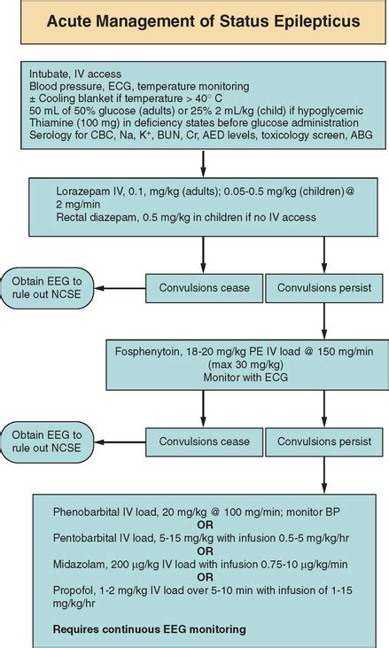 Management Of Status Epilepticus Clinical Gate