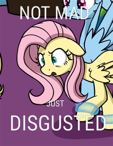 Safe Artist Skitter Edit Fluttershy Rainbow Dash Pegasus Pony G Disgusted
