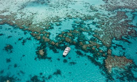 We Went To The Great Barrier Reef To Assess The Damage — Heres What We