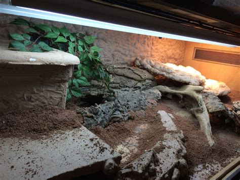 Mar 06, 2020 · diy reptile enclosure plan #7: 23 best images about DIY Reptile cages / enclosures on ...