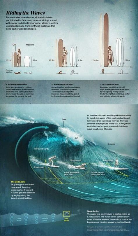 Beginners Surfing Tips The Surfing Handbook Surfing Surfing Tips