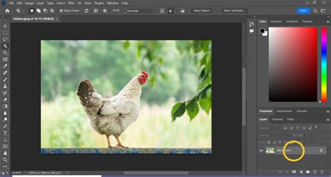 How To Photoshop Photo Background Change In A Few Simple Steps