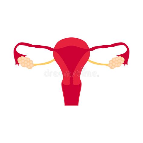 We will try to explain simply and as clear as we could what is the regular monthly cycle and what are the physiological changes that happen. Female Reproductive System, Circuit Sketch Hand-drawn ...