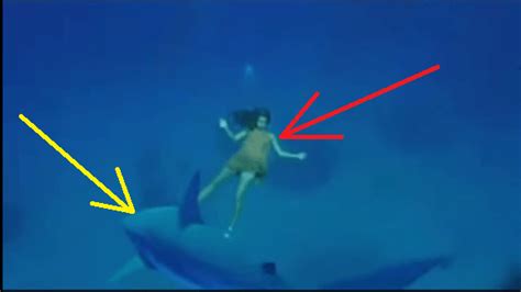 Amazing Dolphin Rescue Drowning Pregnant Woman And Protect From Shark