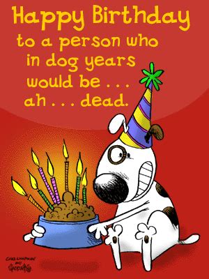 They say you are who you surround yourself with and i guess that makes me an incredibly intelligent beautiful human being because that's what you are my best friend. Funny greetings for B'day - DesiComments.com