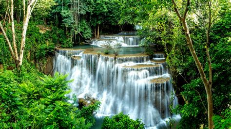 Dream Thailandrainforestwaterfalls Free Download