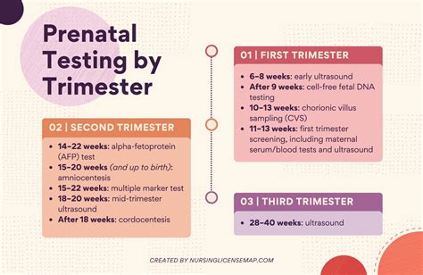 Guide To Prenatal Genetic Testing And Screening