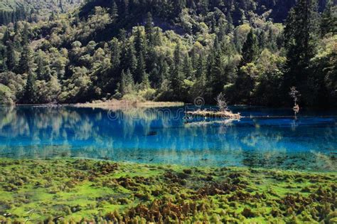 Colorful Lake In Jiuzhaigou National Park Stock Image Image Of
