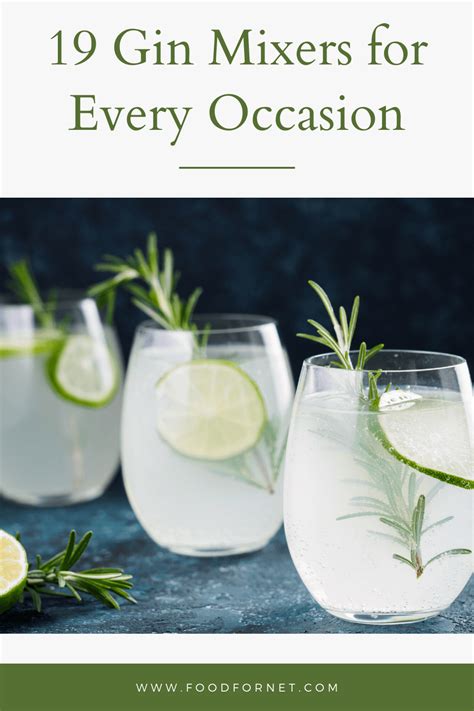 Top 19 Gin Mixers For Fast Easy And Delicious Drinks Food For Net