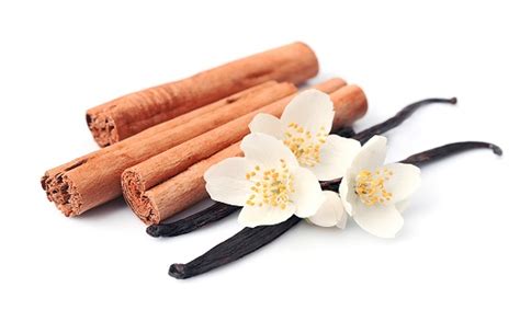 Cinnamon And Vanilla Fragrance Oil Wholesale Fragrances Candle Supplies