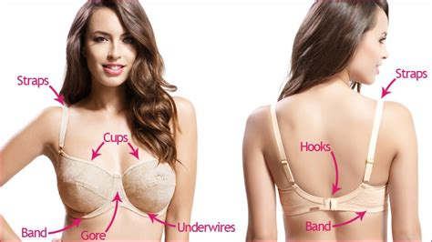 Why Every Girl Should Wear A Bra