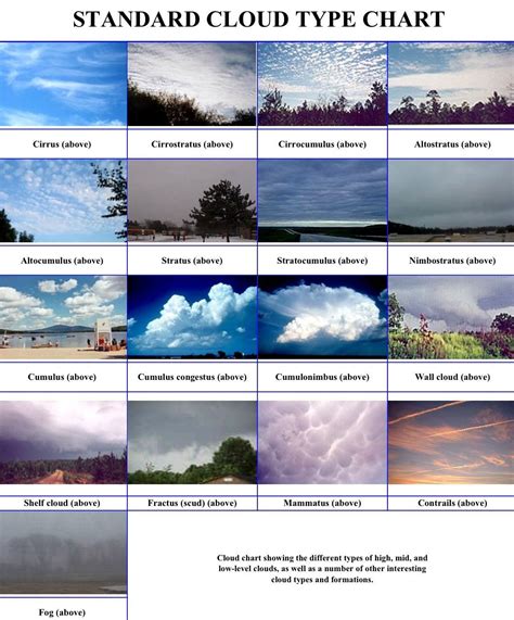 Types Of Clouds Worksheet Free