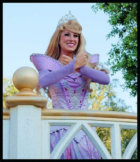 Princess Aurora 3393 Walt Disney Princesses Disney World Characters
