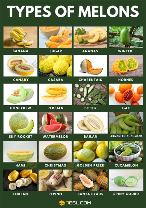 Different Types Of Melons With Juicy Pictures Esl