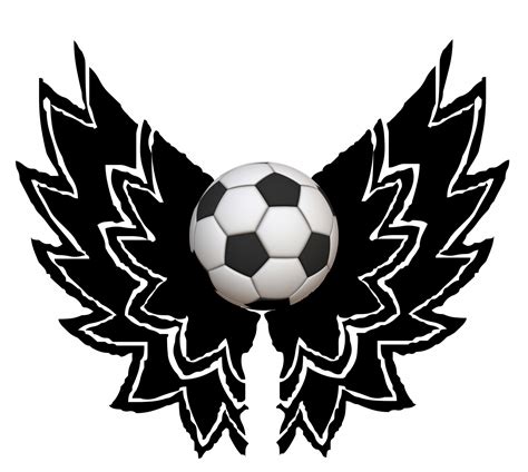 Winged Soccer Ball Free Stock Photo Public Domain Pictures