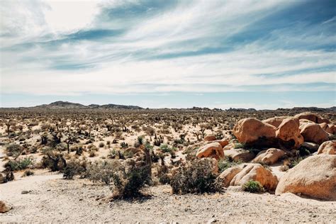 Weekly Wanderlust 20 Photos Of Joshua Tree California Kaylchip