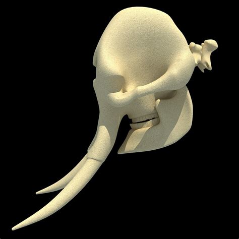 Elephant Skull 3D Model – 3D Horse