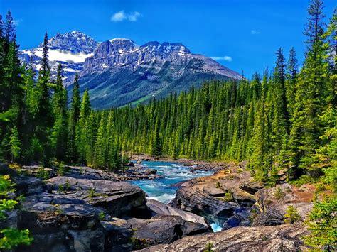 Alberta Canada Banff National Park Mistaya River And Canyon Peaks