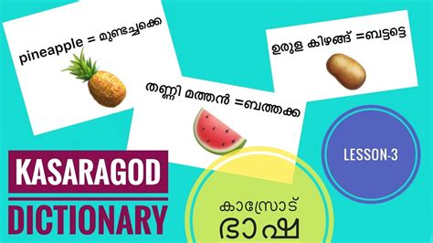 Kasaragod Malayalam Kasaragod Slang Kasaragod Dictionary Lesson 3 Youtube