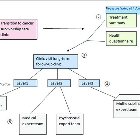 Model Of Personalized Cancer Survivorship Care Pathway Of Cancer