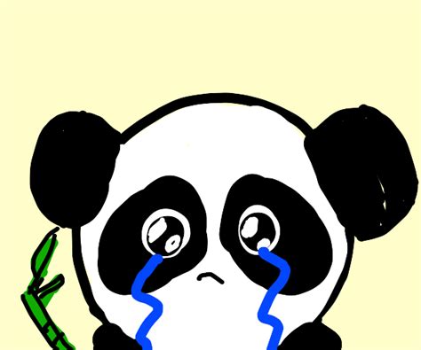 Panda Crying Drawception