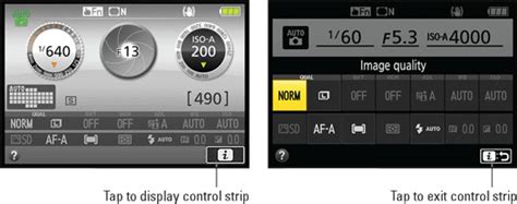 Adjust Settings On The Nikon D5600 Via The Control Strip Dummies