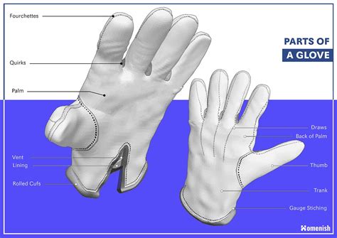 The Main Parts Of A Glove Explained Illustrated Diagram Inc Homenish