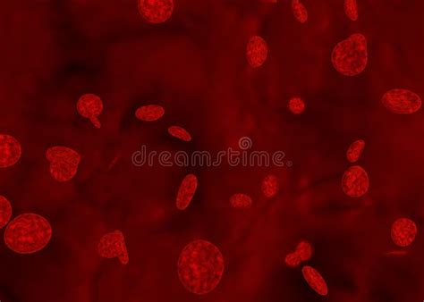 Red Blood Cells In Human Blood Stock Illustration Illustration Of