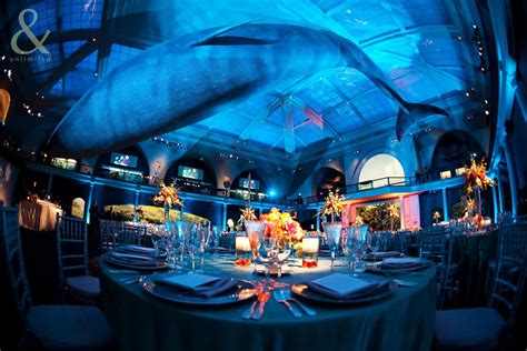 Including display photographs, worksheets, ocean. under the sea prom decorations | Hall of Ocean Life ...