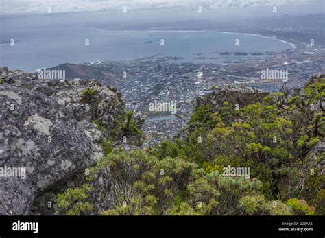 Table Mountain Overlooks The City Of Cape Town And Is A Famous Landmark