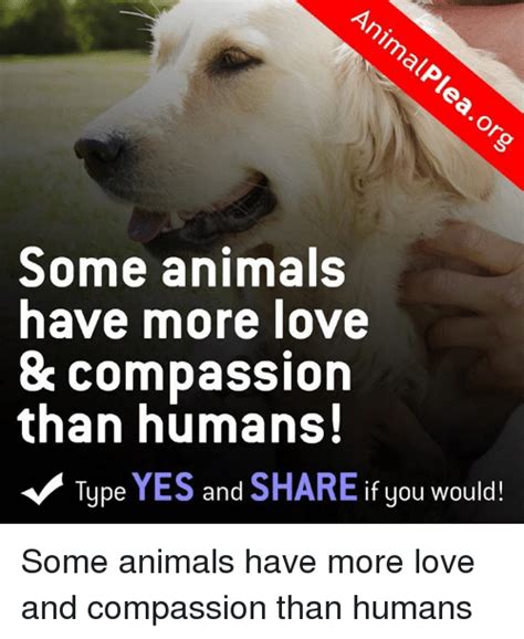 Some Animals Have More Love And Compassion Than Humans Type Yes And