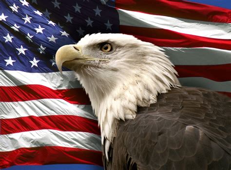 44 Bald Eagle American Flag Wallpaper