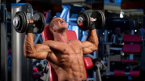 4 Alat Gym Untuk Membentuk Otot Dada Bersosial Com