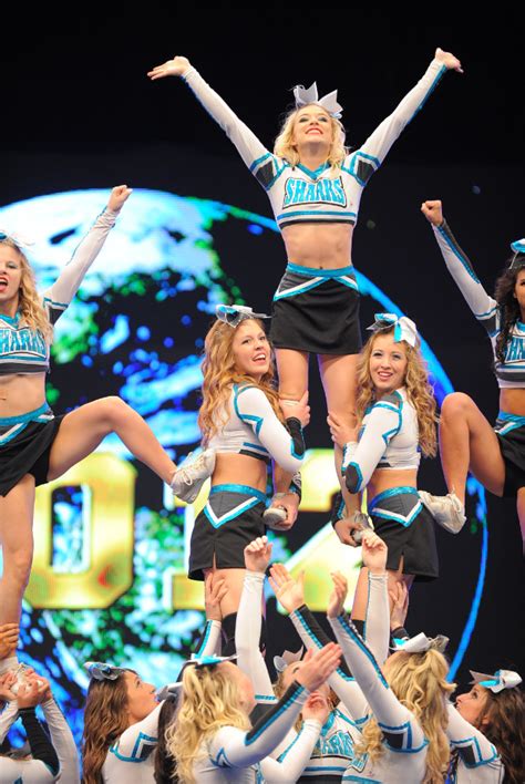 Pin By Cheer Everything On Cheer Sport Sharks Great White Sharks