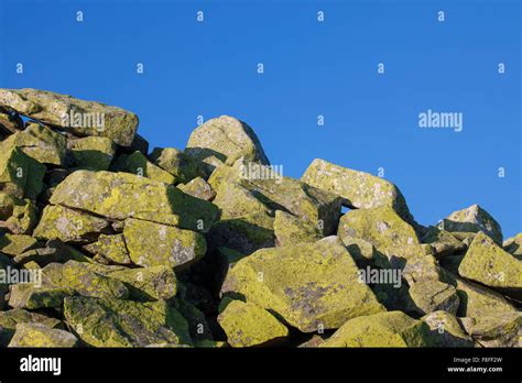 Ejecutar Con Piedras Enormes Rocas Cubiertas De L Quenes En El Monte