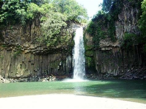 Fotos De Kapatagan Imagens Selecionadas De Kapatagan Lanao Del Norte