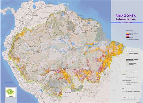 Amazon Rainforest Deforestation Map