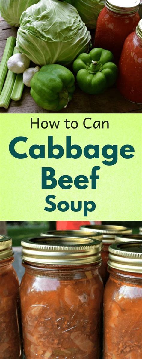 This is a very tasty and hearty meal. Cabbage Beef Soup | Recipe | Beef soup, Canning soup ...