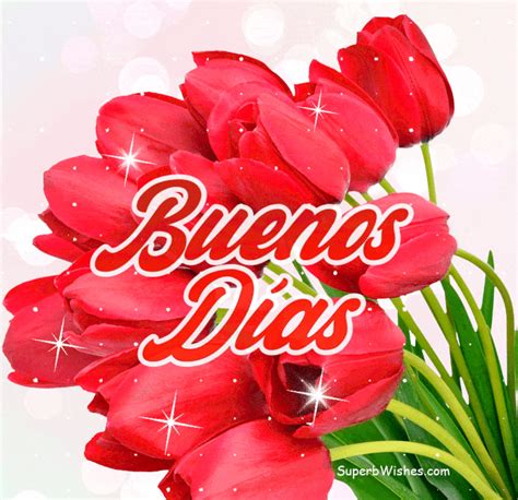 Buenos Días  Brillo Con Hermosos Tulipanes Rojos Superbwishes