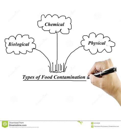 Also it involved essential forms of contamination like : HACCP Food Standard Royalty-Free Stock Photography | CartoonDealer.com #25917983
