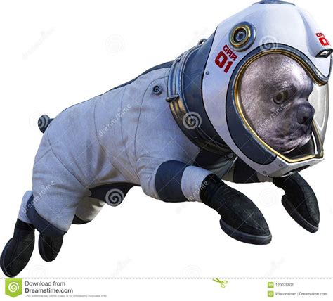 Cartoon Dog In Space Suit ~ Dog Funny Astronaut Space Cartoon Seekpng