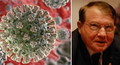 Lucmontagnier luc montagnier covid 19 luc montagnier coronavirus the 2008 nobel laureate for physiology or medicine from. Coronavirus: anche il premio Nobel Luc Montagnier chiama ...