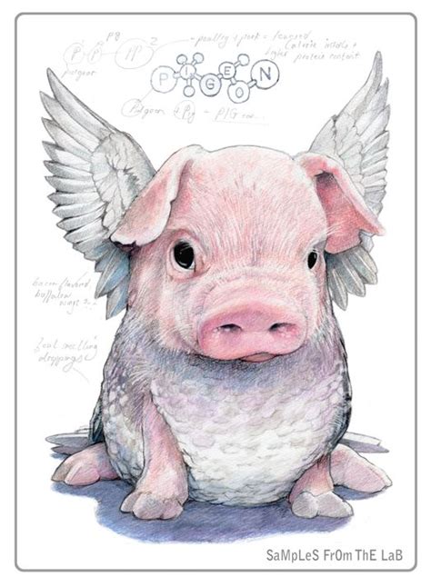 By Rob Foote This Is The Cutest Flying Pig Ive Seen Yet Рисунки